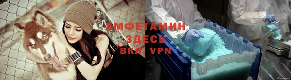 молекула духа Белоозёрский