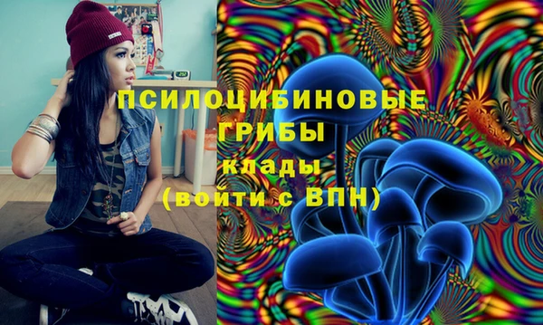 молекула духа Белоозёрский