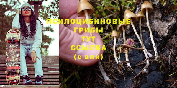 трава Белокуриха